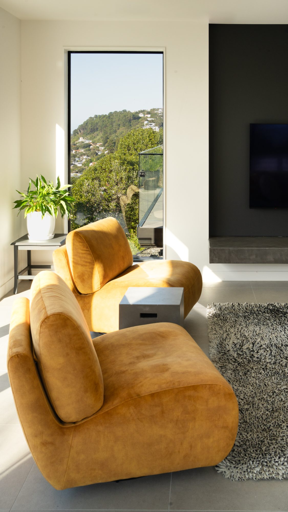 Seatoun Heights ochre velvet armchairs by window, Wellington interior photography NZ